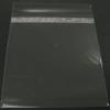 100 11 3/8x14 1/8 Crystal Clear Bag for Photo Mats view 1