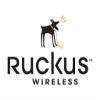 Ruckus Wireless - S41-VSPT-1000 - EU Sled Supp for Vspot, 1 Yr view 1