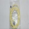 BALLUFF C04-EEL-04-TY020-M Cable Assembly, Female/Male Connect, Straight view 2