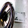 CROUSE HINDS 5000118-436 Cable Cord Set 300V 5AMP view 2