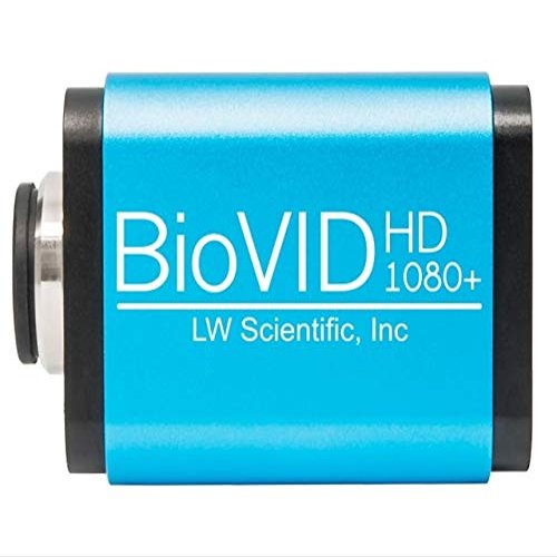 LW SCIENTIFIC BVC-1080-CMT3 Microscope Camera,Still/Video,5,1/2.5"