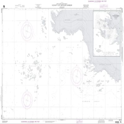NGA Chart 29123-Vicinity of Arthur Harbor