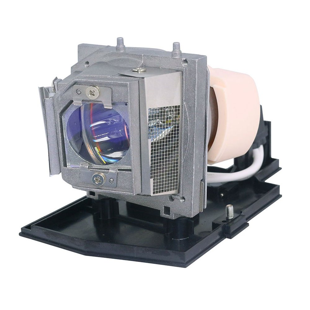 AuraBeam Economy Replacement Projector Lamp for Acer ECJCR00.001 with Housing