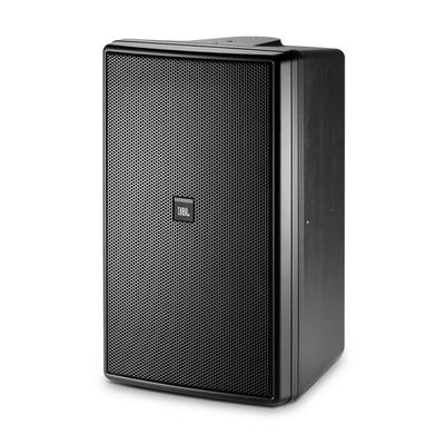 JBL Professional Control 31 Two-Way High-Output Indoor-Outdoor Monitor Speaker, Black, 10-Inch