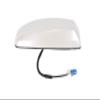 ACDelco 23258478 GM Original Equipment White Diamond High Frequency Antenna view 1