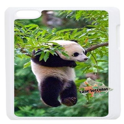 [case forcolor]:Hanging Panda Hard Case for ipod touch4.
