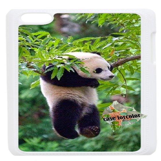 [case forcolor]:Hanging Panda Hard Case for ipod touch4.