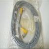 TURCK/Unit=1/WK 4.4T-4-WS 4.4T WK 4.4T-4-WS 4.4T, M12 eurofast Right Angle;Female Connector;4 Wire;4 Meters;U2431-2 view 1
