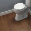 Delta Faucet Wycliffe Slow Close Elongated Toilet Seat with Non-Slip Seat Bumpers, Soft Close Toilet Seat Elongated, Toilet Seat Slow Close, White 811901-WH view 3