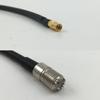 12 inch RGU178 MMCX FEMALE to MINI UHF FEMALE Pigtail Jumper RF coaxial cable 50ohm Quick USA Shipping view 1