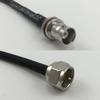 12 inch RGU178 BNC FEMALE SM BULKHEAD to F MALE Pigtail Jumper RF coaxial cable 50ohm Quick USA Shipping view 1