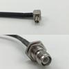 6 inch RGU178 TS9 ANGLE MALE to RP-TNC FEMALE BULKHEAD Pigtail Jumper RF coaxial cable 50ohm Quick USA Shipping view 1