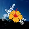 AmiArt Hawaii Decal - 8" x 7" inches - Turtle and Yellow and RED Hibiscus Flower - Vinyl - Decal for Wall/Laptop/Car/Truck/Window view 2