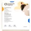 Transparency Film for Copiers Not Requiring a Sensing Stripe - 8.5 x 11 inches - 100 pack view 1