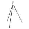 Gitzo GK2545T-82QD Traveler Tripod Kit with Pro Center Ball Head - Compact, Foldable and Light with Short Column Included for Ground Level Shoots, Series 2-4 Sections, Carbon Fibre view 2
