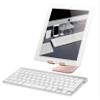 elago P2 Stand [Rose Gold] - [Premium Aluminum][Ergonomic Angle][Cable Management] - for iPad and Tablet PC view 1