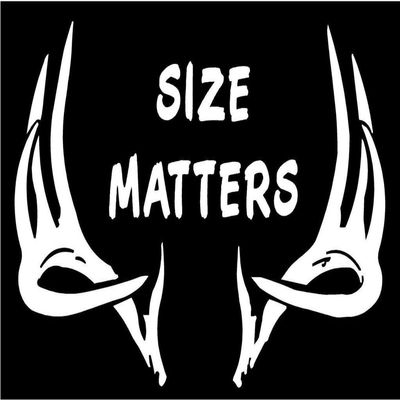 6 x 4" Size Matters Deer Antlers Horns Vinyl Die Cut Decal Bumper Sticker, Windows, Cars, Trucks, laptops, etc