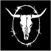 5.75 x 4.25 Longhorn Barb Wire Western Vinyl Die Cut Decal Bumper Sticker, Windows, Cars, Trucks, laptops, etc view 1