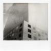 Polaroid B&W Film for SX-70 (6005) view 3