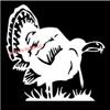 5.75 x 5.5 Turkey Strut Hunting Vinyl Die Cut Decal Bumper Sticker, Windows, Cars, Trucks, laptops, etc view 1