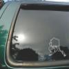 Alaska State- Home (C)- Die Cut White Vinyl Window Decal/sticker for Car/Truck/Laptop 5"x5.5" view 1