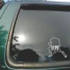 Alaska State- Home (J)- Die Cut White Vinyl Window Decal/sticker for Car/Truck/Laptop 5"x5.5" view 1