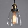 Vintage Industrial Edison Clear Glass Pendant Ceiling Light Retro Lamp Shade view 3