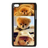 Boo The Dog Cute Dog iPod Touch 6th Best PVC Case Including Dust Plug