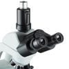 AmScope T550B 40X-2000X LED Biological Trinocular Compound Microscope view 4