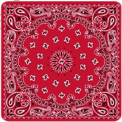 Red Bandanas Design Vinyl Decal Sticker Skin by Debbie's Designs for iPad