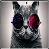 Cat with Sunglasses Seeing Everything Rosey Vinyl Decal Sticker Skin by Debbie's Designs for Surface Pro Tablet view 1