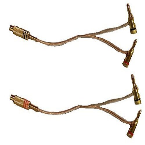 14 AWG Speaker wire pair with RCA Female (Black & Red) to 2 pair Stackable Banana Plugs - 6 Foot