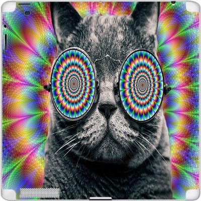 Crazy Cat Hallucination with Glasses Vinyl Decal Sticker Skin by Debbie's Designs for iPad 2