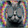 Crazy Cat Hallucination with Glasses Vinyl Decal Sticker Skin by Debbie's Designs for Surface RT view 1