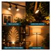 KOR MR11 5W 6V Halogen Reflector Light Bulbs, GU4 Bi-Pin, 2-Pack view 4