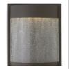 Hinkley Shelter Medium Wall Mount Outdoor Lantern, Integrated LED, Aluminum, Clear Seedy Glass Shade, Dark Sky Compliant, ADA, Buckeye Bronze Finish view 1