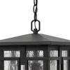 Hinkley Tucker Medium Outdoor Hanging Lantern, Museum Black Finish view 4
