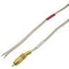 16 AWG Speaker wire with Gold RCA Male - Red, 6 Foot view 1