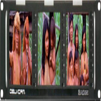 Delvcam DELV-3LCD-3GHD 5-Inch Triple Rackmount 3G-SDI HDMI Video Monitor