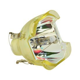 Technical Precision Replacement for LIESEGANG ZU 0289 04 4010 Bare LAMP ONLY Projector TV Lamp Bulb