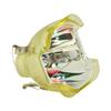 Technical Precision Replacement for LIESEGANG ZU 0289 04 4010 Bare LAMP ONLY Projector TV Lamp Bulb view 1