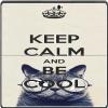Keep Calm and be Cool Cat Vinyl Decal Sticker Skin by Debbie's Designs for Surface Pro Tablet view 1