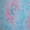 Labomed LB-247 Binocular Biological Microscope with Infinite Plan Optical System and Infinity Color Corrected System view 4