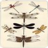Vintage Fire Flys Flies Vinyl Decal Sticker Skin by Debbie's Designs for iPad view 1