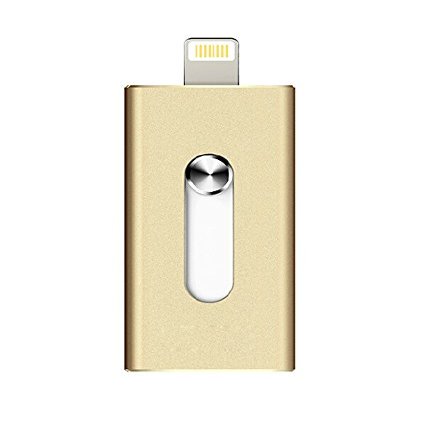 QWDZH [iOS9 Compatible] Mobile USB Flash Drive with Lightning Connector for iPad 4/Air/Mini, iPod Touch 5, iPhone 5 5S 5C 6 6 Plus, 128G