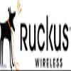 Ruckus Wireless - 807-R710-1000 Partner WatchDog Premium Support - Extended Service - 1 Year - Service - Service Depot - Exchange - Parts - Physical view 1