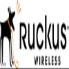 Ruckus Wireless - 851-1106-1000 - Sled End User Watchdog Support Renewal view 1