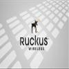Ruckus Wireless - 841-1006-1L00 - Sled End User Watchdog Support for Zone view 1