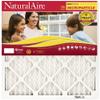 FLANDERS 85256.012020 20" x 20" x 1", NaturalAire Micro Particle Pleated Furnace Filter view 1
