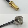 12 inch 30cm RG174 RP-SMA Female Long to UHF Female Angle Bulkhead Pigtail Jumper RF coaxial cable 50 ohm Quick USA Shipping view 1